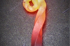 DSCF1999-2