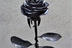 DSCF2528-2