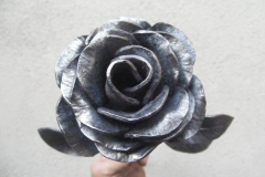 DSCF2533