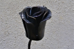 DSCF2584-2
